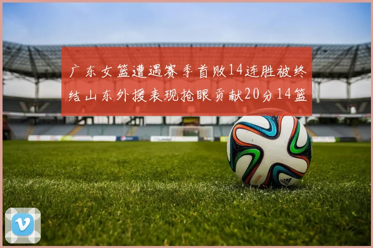 广东女篮遭遇赛季首败14连胜被终结山东外援表现抢眼贡献20分14篮板5助攻